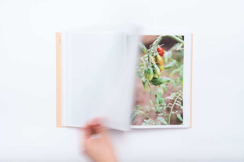 Image from a project on PhMuseum