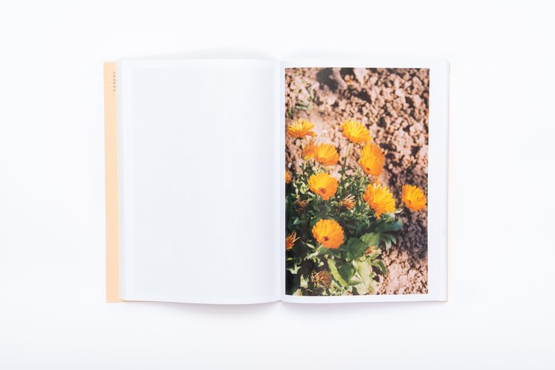 Image from a project on PhMuseum