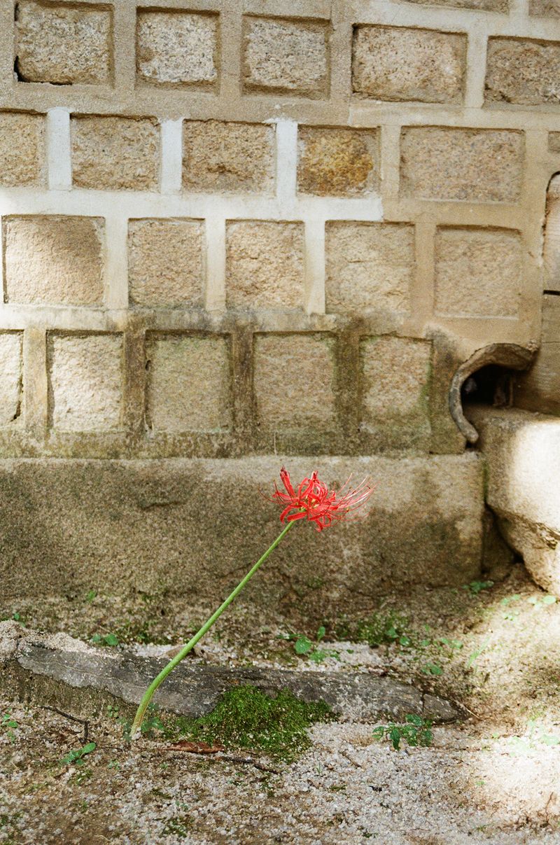 © Johanna Tagada Hoffbeck - Image from the First Impressions photography project