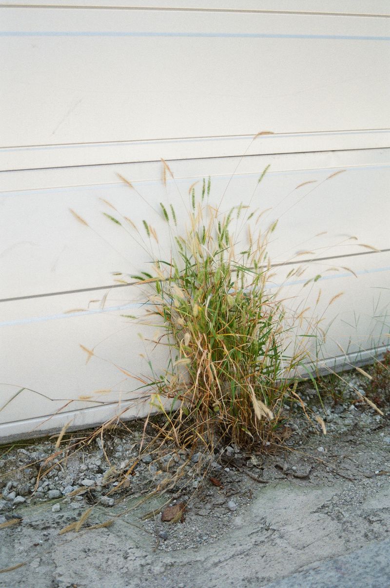 © Johanna Tagada Hoffbeck - Image from the First Impressions photography project