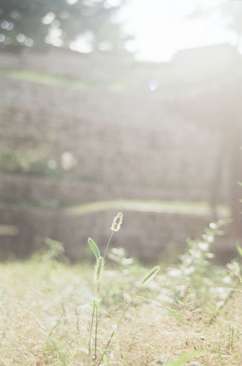 © Johanna Tagada Hoffbeck - Image from the First Impressions photography project