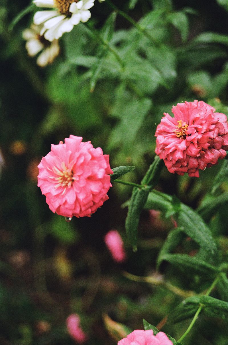 © Johanna Tagada Hoffbeck - Image from the First Impressions photography project