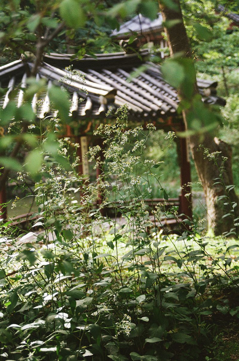 © Johanna Tagada Hoffbeck - Image from the First Impressions photography project