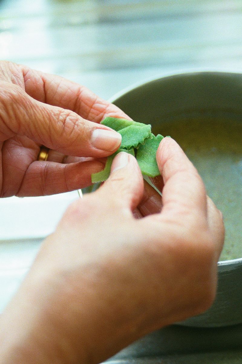 © Johanna Tagada Hoffbeck - Image from the And So, We Grow photography project