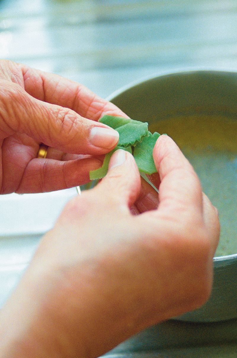 © Johanna Tagada Hoffbeck - Image from the And So, We Grow photography project