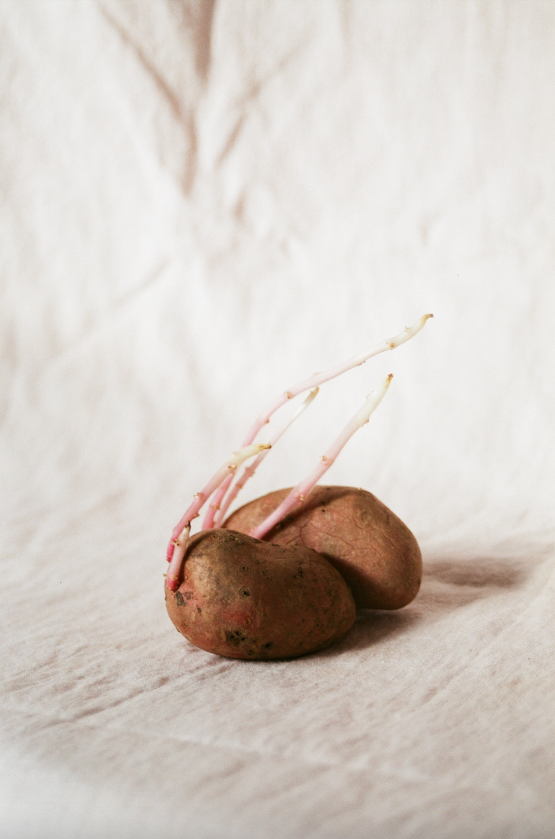 © Johanna Tagada Hoffbeck - Image from the And So, We Grow photography project