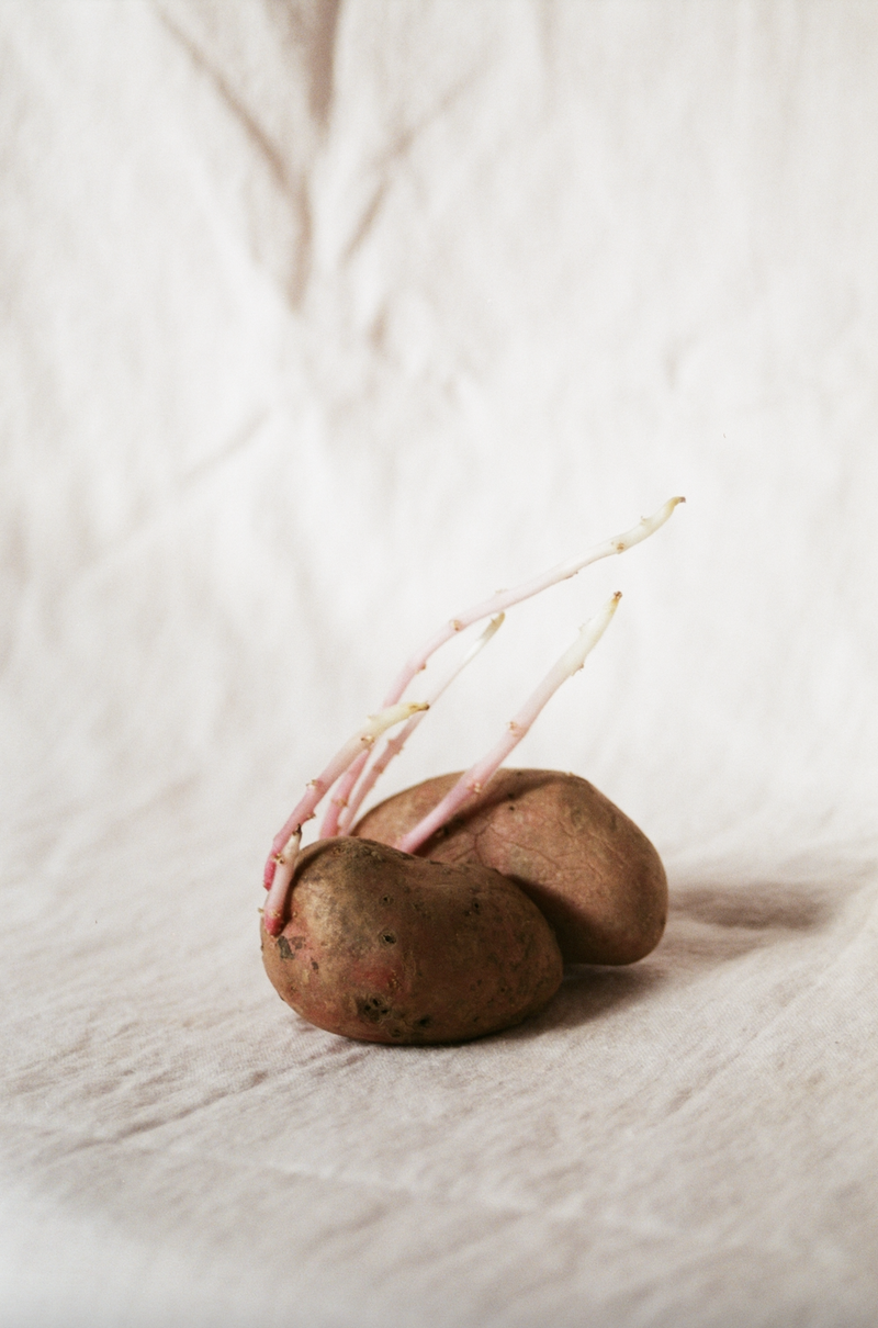 © Johanna Tagada Hoffbeck - Image from the And So, We Grow photography project