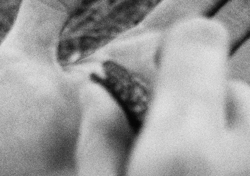 © Tia Liu - He picked up a fallen butterfly.