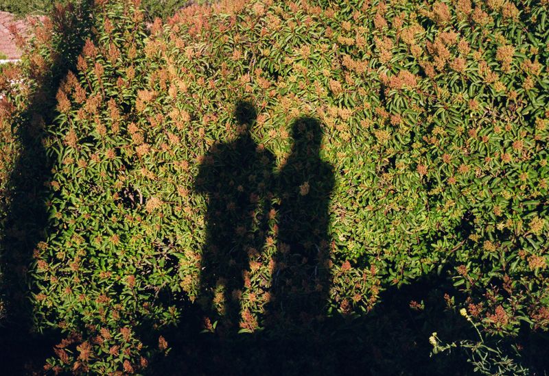 © Tia Liu - Shadow with 'Lover 03'.