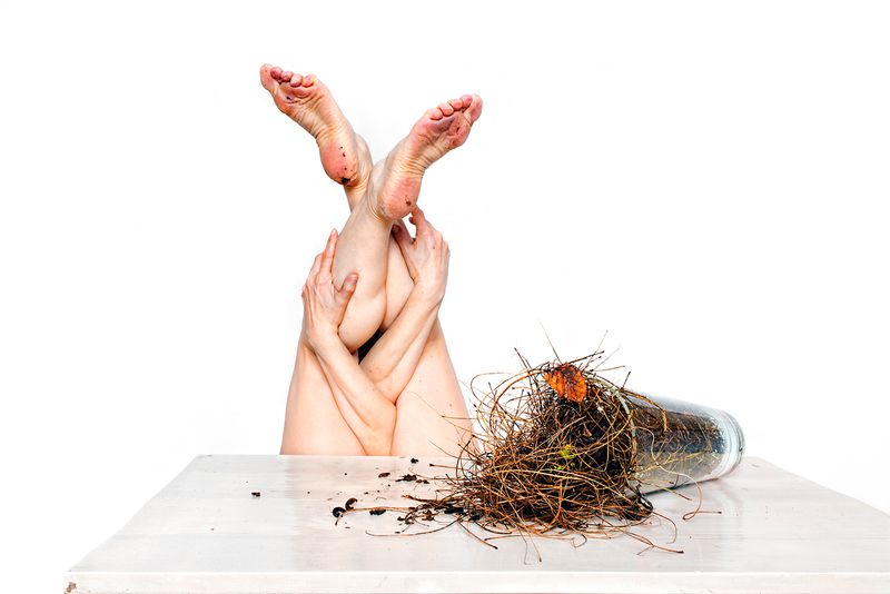 © Henriette van Gasteren - Image from the Woman is the pig of the world AND Faded Glory photography project