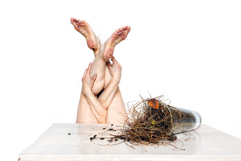 © Henriette van Gasteren - Image from the Woman is the pig of the world AND Faded Glory photography project