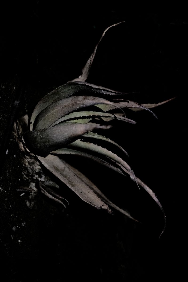 © Macarena Costan - Image from the Fe+Minus photography project