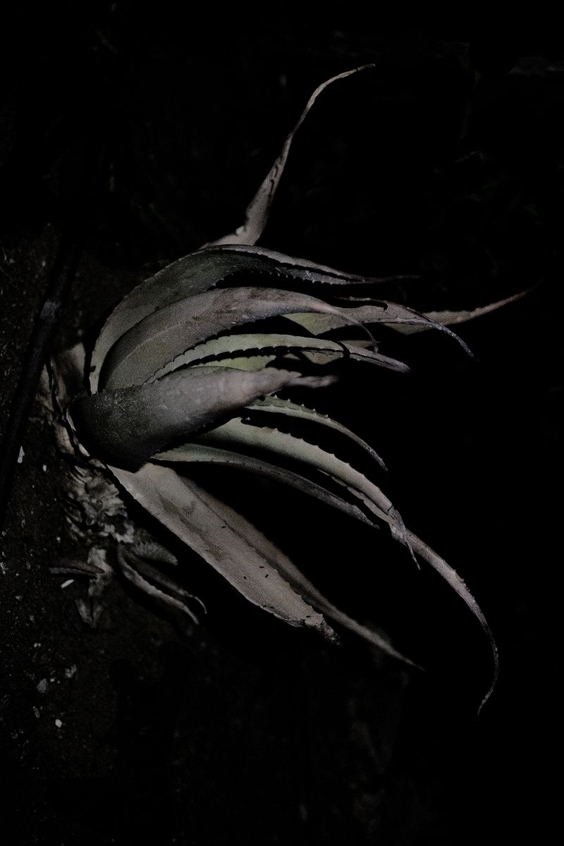 © Macarena Costan - Image from the Fe+Minus photography project