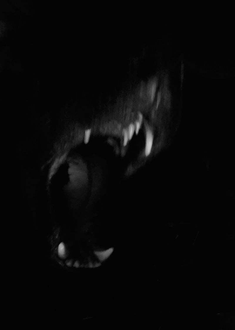 © Macarena Costan - Image from the Fe+Minus photography project