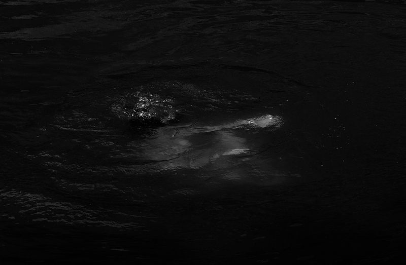 © Macarena Costan - Image from the Fe+Minus photography project