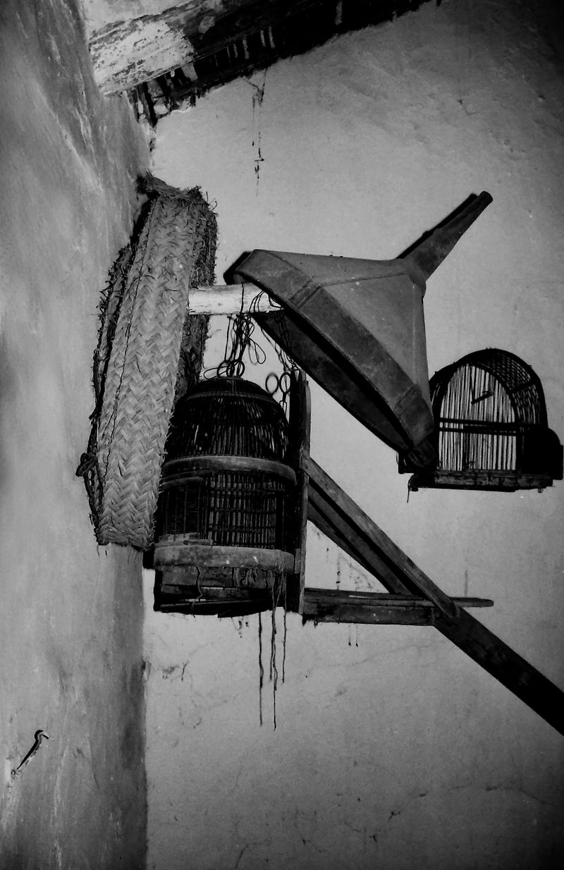 © Macarena Costan - Image from the Fe+Minus photography project