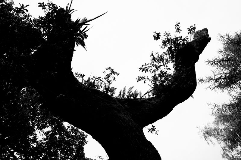 © Macarena Costan - Image from the Fe+Minus photography project