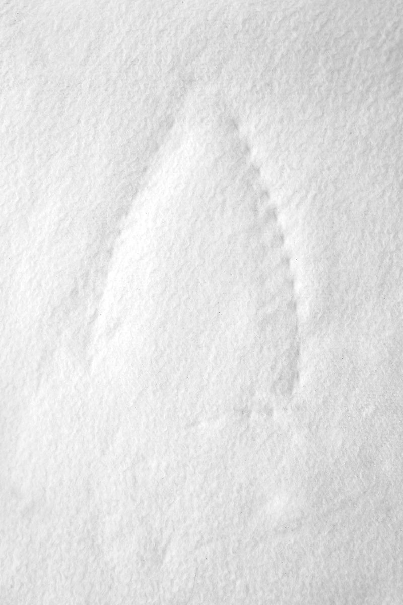 © Macarena Costan - Image from the Caliza photography project