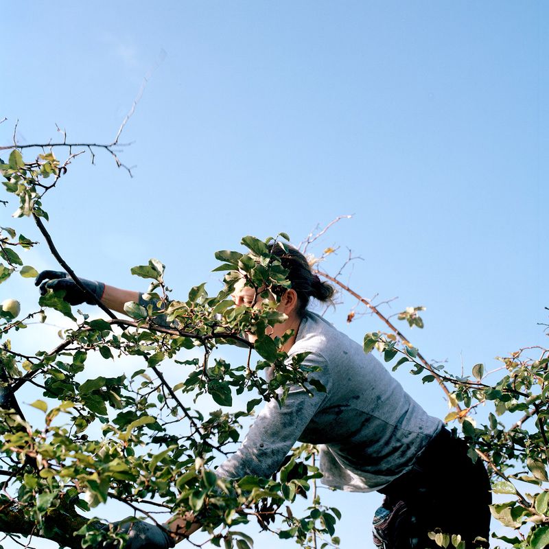 © Macarena Costan - Image from the Caliza photography project