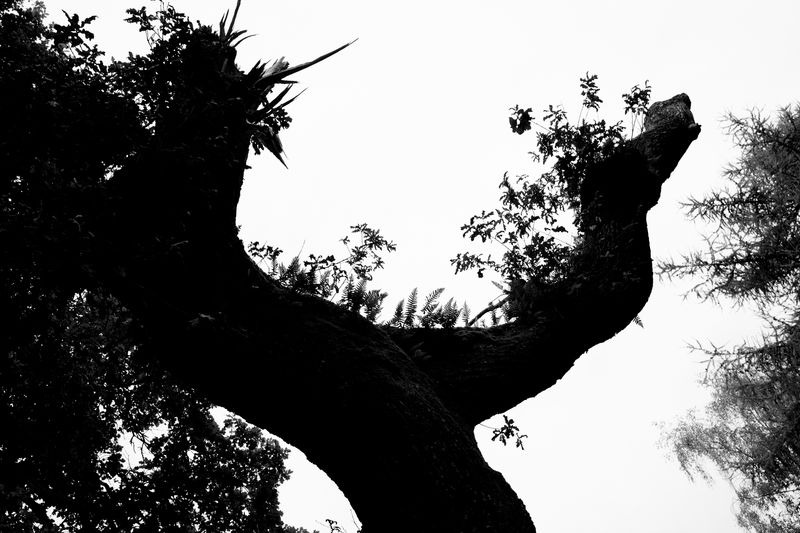 © Macarena Costan - Image from the Fe+Minus photography project