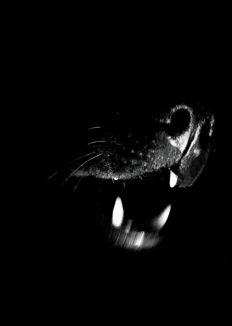 © Macarena Costan - Image from the Fe+Minus photography project