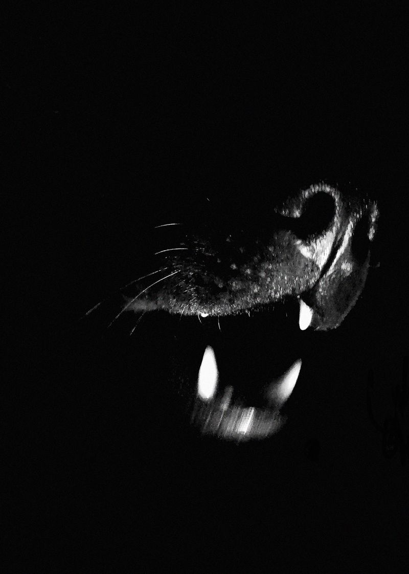 © Macarena Costan - Image from the Fe+Minus photography project