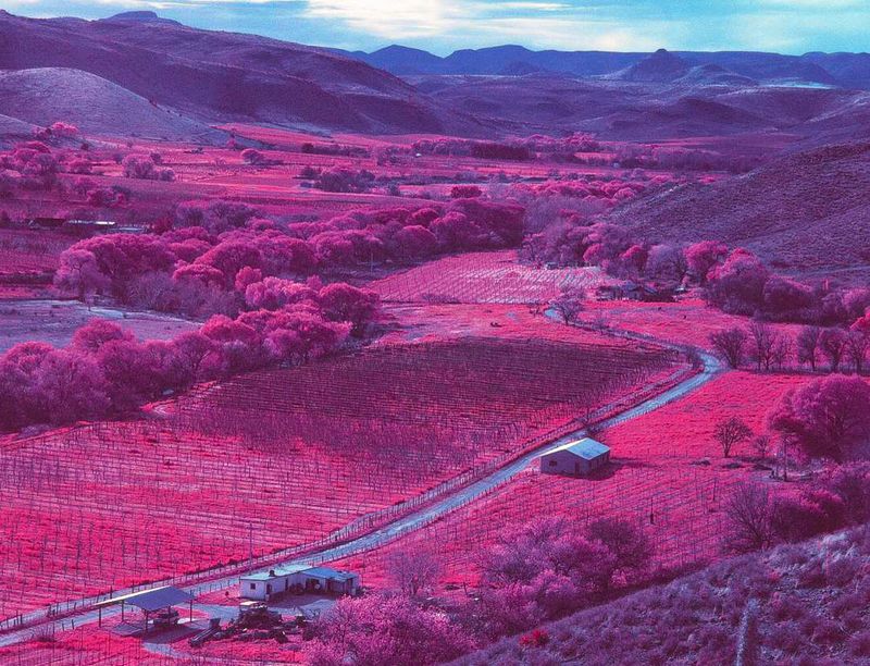 © Alejandra Aragon - 5. Chapter II: Journey South of the border: The state omitted its role as did the fathers of blood.