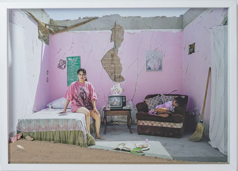 © Alejandra Aragon - Image from the The Prehistoric Color photography project