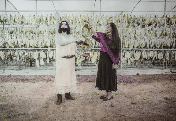 © Alejandra Aragon - Image from the The Prehistoric Color photography project