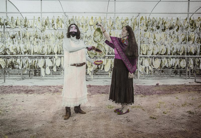 © Alejandra Aragon - Image from the The Prehistoric Color photography project