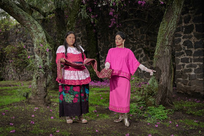 © Alejandra Aragon - Image from the The Prehistoric Color photography project