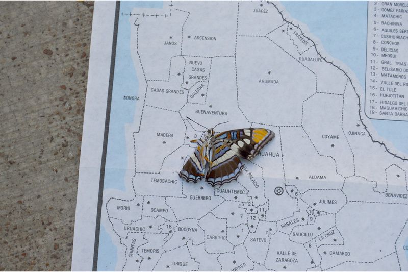 © Alejandra Aragon - Image from the Chavalxs photography project