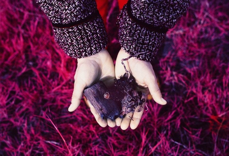 © Alejandra Aragon - 7. Mothers in an act of resilience and destruction burned the stubble.