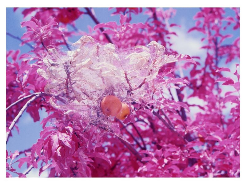 © Alejandra Aragon - Image from the I came to La Pinta because they told me my father lived here... photography project