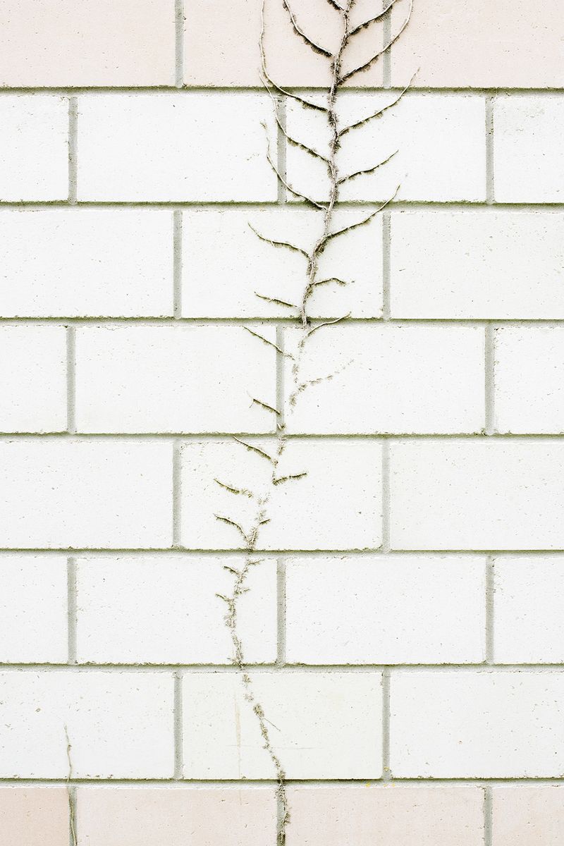 © Matei Focseneanu - Tuilière prison walls #3