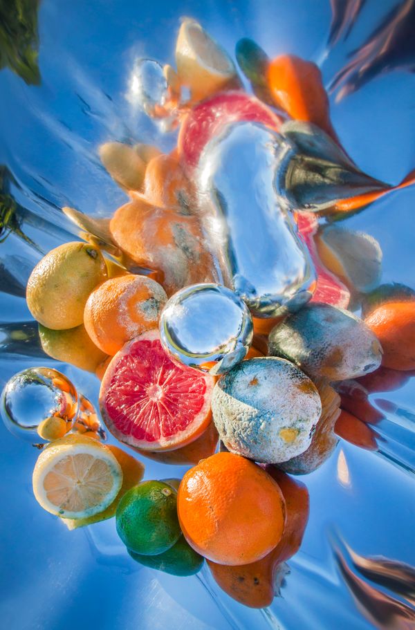 © Henriette Sabroe Ebbesen - Oranges