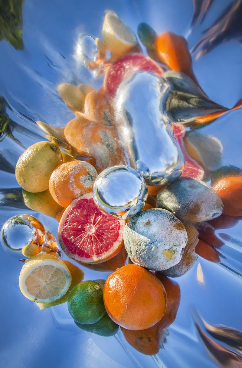 © Henriette Sabroe Ebbesen - Oranges