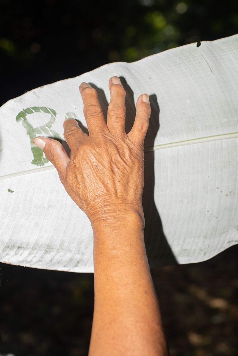 © Antonio Rodriguez - Image from the Dislocated Birds photography project