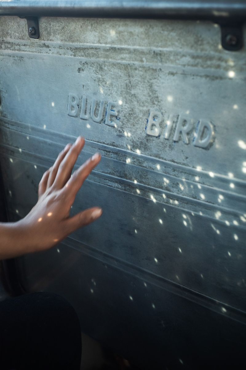 © Antonio Rodriguez - Image from the Dislocated Birds photography project