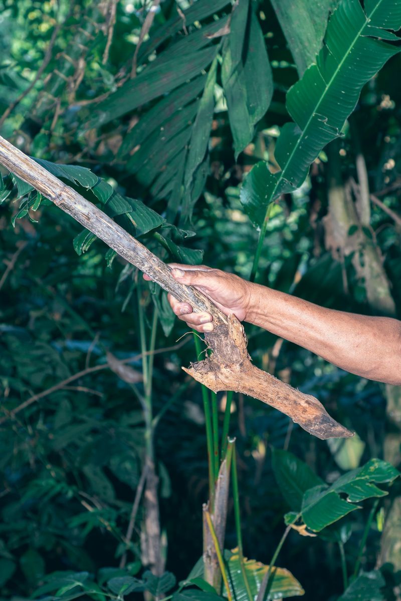 © Antonio Rodriguez - Image from the Dislocated Birds photography project