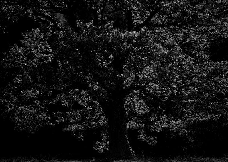 © Antonio Rodriguez - Image from the The Root photography project