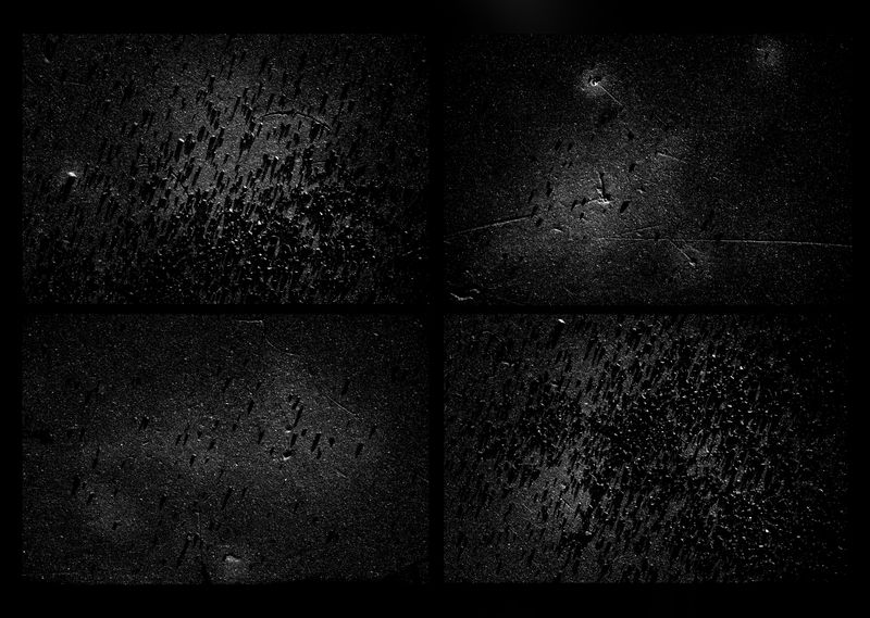 © Antonio Rodriguez - Image from the The Root photography project