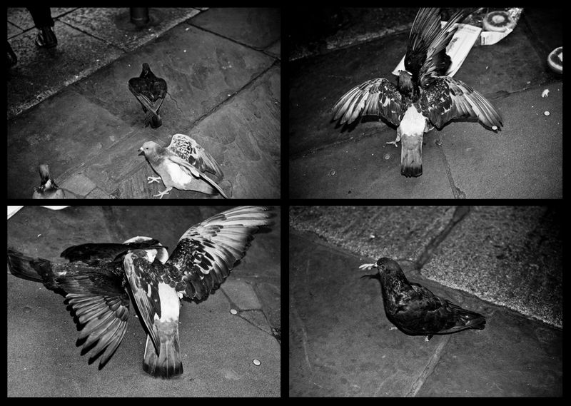 © Antonio Rodriguez - Image from the The Root photography project