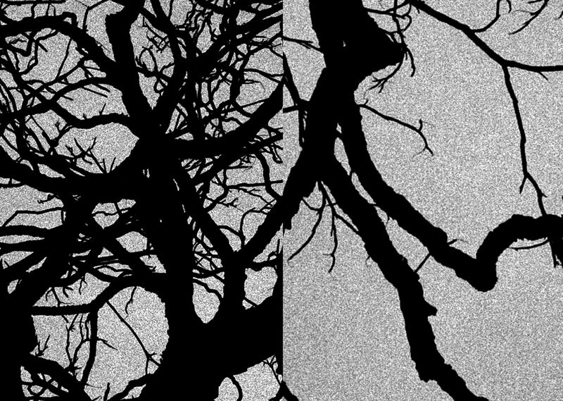 © Antonio Rodriguez - Image from the The Root photography project