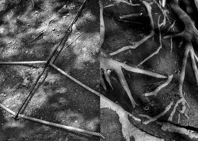 © Antonio Rodriguez - Image from the The Root photography project