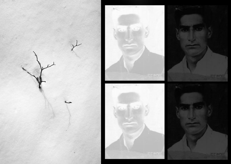 © Antonio Rodriguez - Image from the The Root photography project