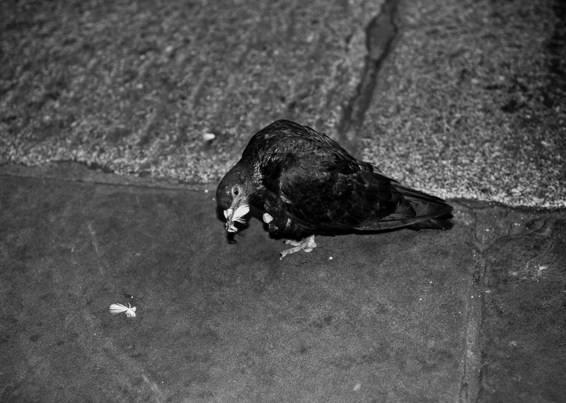 © Antonio Rodriguez - Image from the The Root photography project