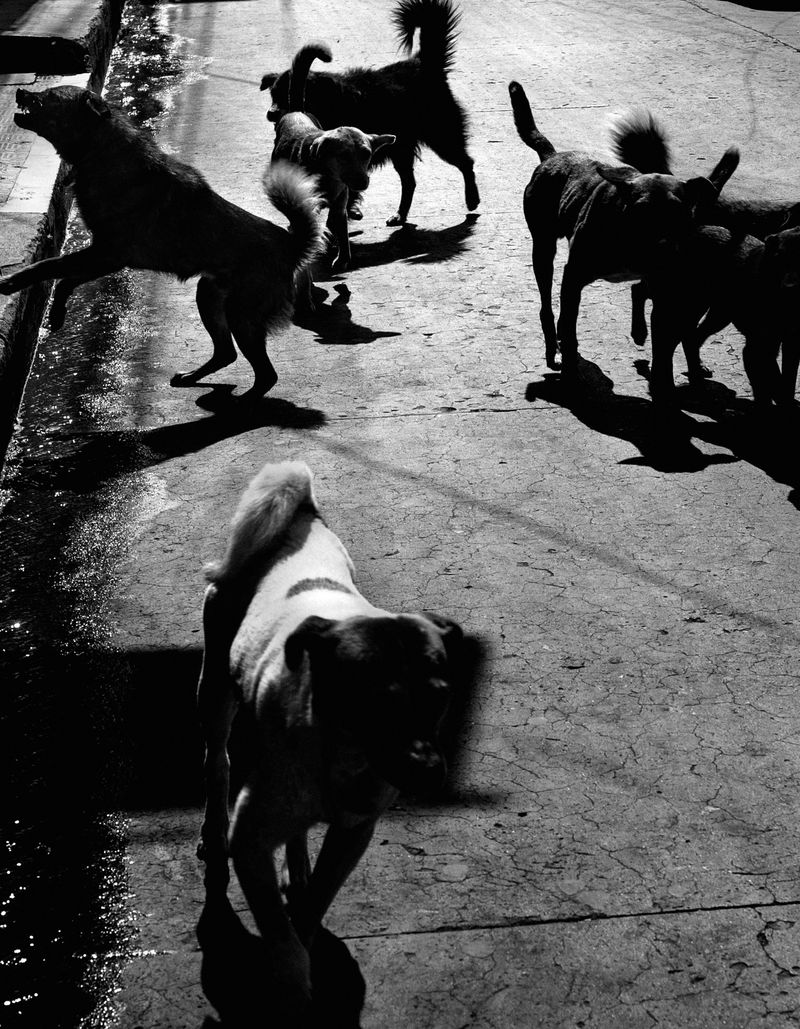 © Antonio Rodriguez - Tacaná_06