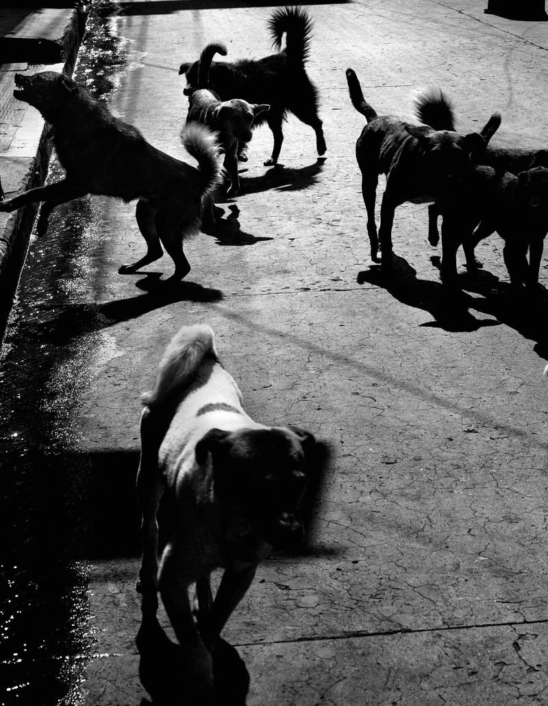 © Antonio Rodriguez - Image from the Tacaná photography project