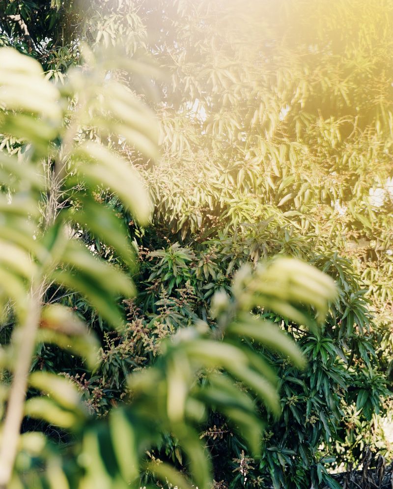 © Guarionex_jr - Image from the Segunda Generación photography project